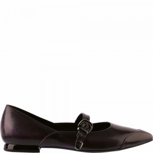 Högl Mia Női Balerina Cipő Aubergine | CWXB-41397